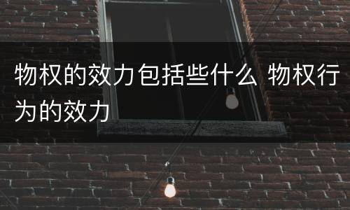 物权的效力包括些什么 物权行为的效力