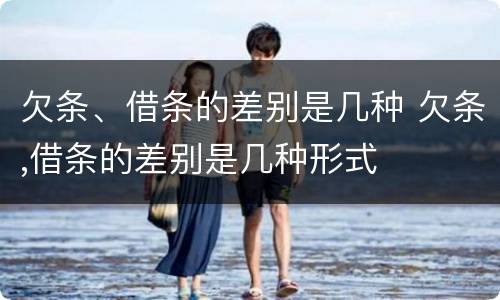 欠条、借条的差别是几种 欠条,借条的差别是几种形式