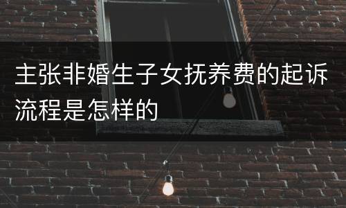 主张非婚生子女抚养费的起诉流程是怎样的