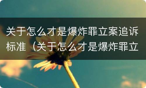 关于怎么才是爆炸罪立案追诉标准（关于怎么才是爆炸罪立案追诉标准呢）