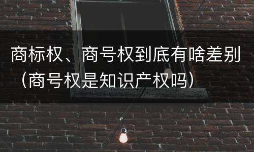 商标权、商号权到底有啥差别（商号权是知识产权吗）