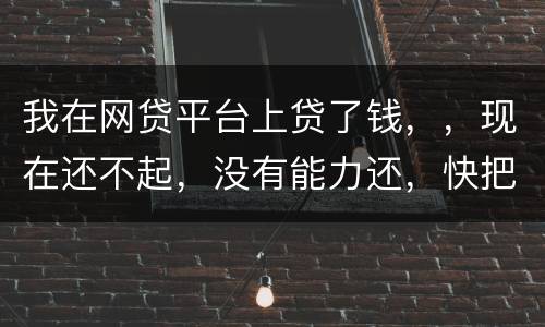 我在网贷平台上贷了钱，，现在还不起，没有能力还，快把家里人气死了，这可怎么办