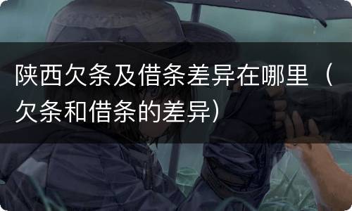 陕西欠条及借条差异在哪里（欠条和借条的差异）