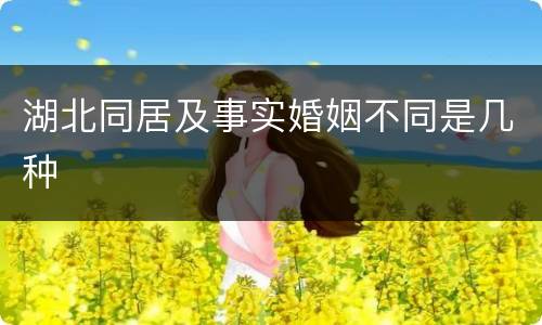 湖北同居及事实婚姻不同是几种