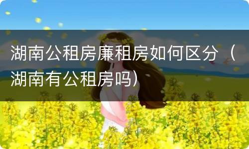湖南公租房廉租房如何区分（湖南有公租房吗）