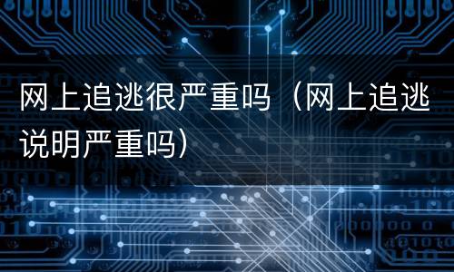 网上追逃很严重吗（网上追逃说明严重吗）
