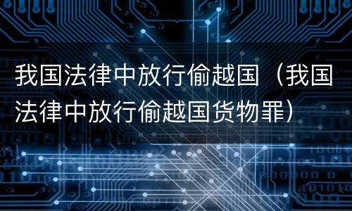 我国法律中放行偷越国（我国法律中放行偷越国货物罪）