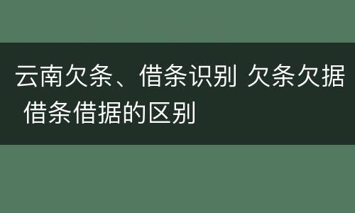 云南欠条、借条识别 欠条欠据 借条借据的区别