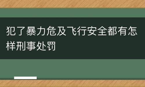 犯了暴力危及飞行安全都有怎样刑事处罚