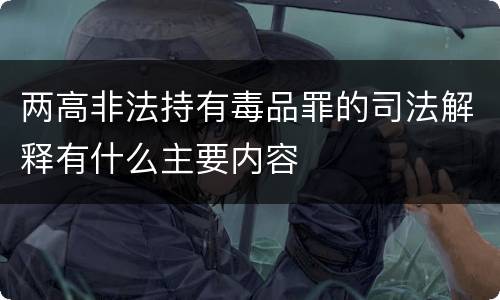 两高非法持有毒品罪的司法解释有什么主要内容