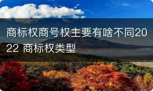 商标权商号权主要有啥不同2022 商标权类型