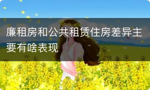 廉租房和公共租赁住房差异主要有啥表现