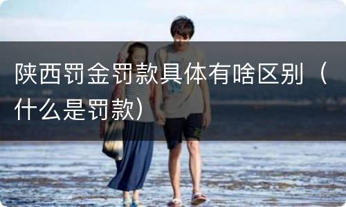 陕西罚金罚款具体有啥区别（什么是罚款）