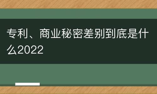 专利、商业秘密差别到底是什么2022