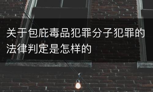 关于包庇毒品犯罪分子犯罪的法律判定是怎样的