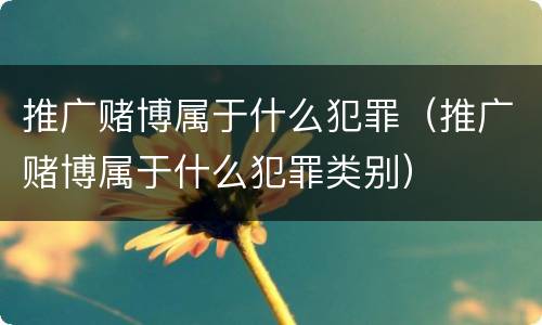推广赌博属于什么犯罪（推广赌博属于什么犯罪类别）