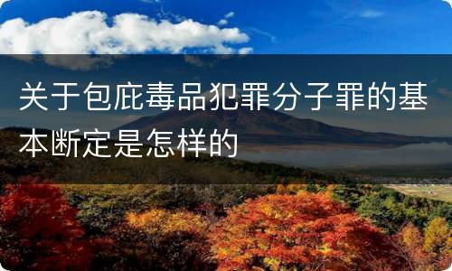 关于包庇毒品犯罪分子罪的基本断定是怎样的