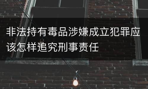 非法持有毒品涉嫌成立犯罪应该怎样追究刑事责任