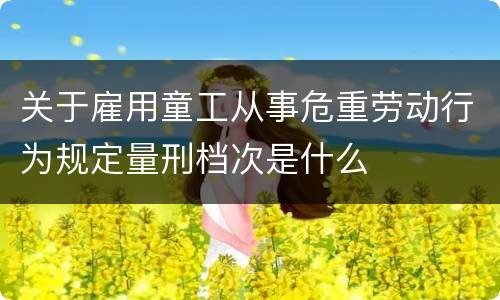 关于雇用童工从事危重劳动行为规定量刑档次是什么