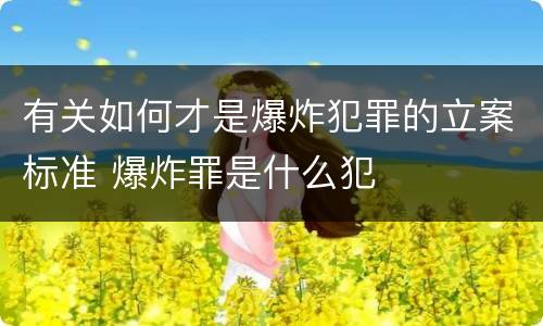 有关如何才是爆炸犯罪的立案标准 爆炸罪是什么犯