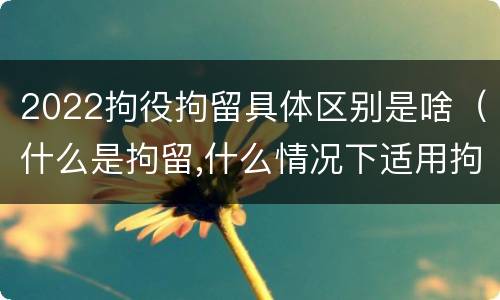 2022拘役拘留具体区别是啥（什么是拘留,什么情况下适用拘留）