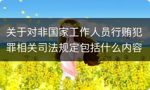关于对非国家工作人员行贿犯罪相关司法规定包括什么内容