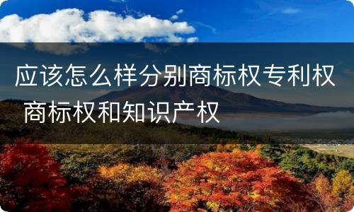 应该怎么样分别商标权专利权 商标权和知识产权