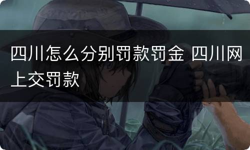 四川怎么分别罚款罚金 四川网上交罚款