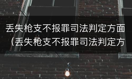丢失枪支不报罪司法判定方面（丢失枪支不报罪司法判定方面的问题）