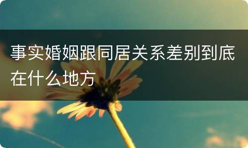事实婚姻跟同居关系差别到底在什么地方