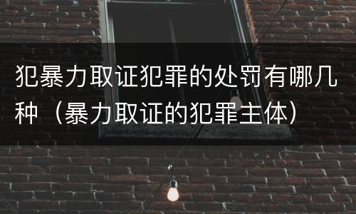 犯暴力取证犯罪的处罚有哪几种（暴力取证的犯罪主体）