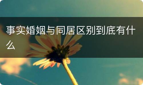 事实婚姻与同居区别到底有什么