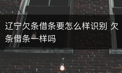 辽宁欠条借条要怎么样识别 欠条借条一样吗