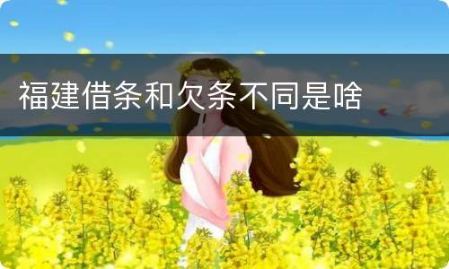福建借条和欠条不同是啥