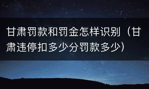 甘肃罚款和罚金怎样识别（甘肃违停扣多少分罚款多少）