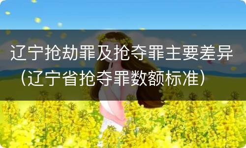 辽宁抢劫罪及抢夺罪主要差异（辽宁省抢夺罪数额标准）