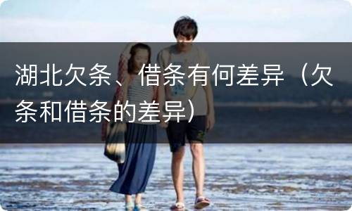 湖北欠条、借条有何差异（欠条和借条的差异）