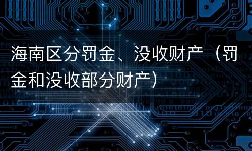 海南区分罚金、没收财产（罚金和没收部分财产）