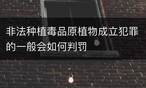 非法种植毒品原植物成立犯罪的一般会如何判罚