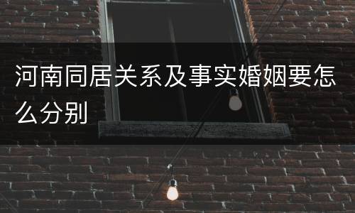 河南同居关系及事实婚姻要怎么分别