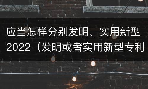 应当怎样分别发明、实用新型2022（发明或者实用新型专利）