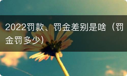 2022罚款、罚金差别是啥（罚金罚多少）