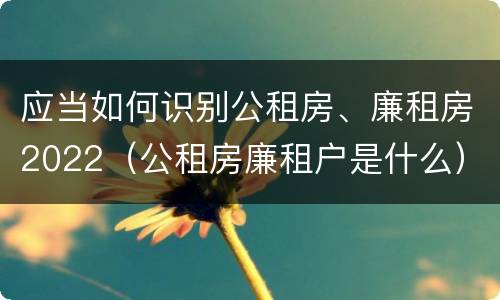应当如何识别公租房、廉租房2022（公租房廉租户是什么）