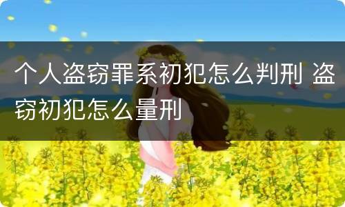 个人盗窃罪系初犯怎么判刑 盗窃初犯怎么量刑