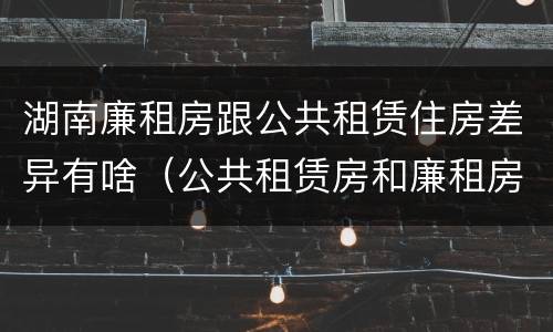 湖南廉租房跟公共租赁住房差异有啥（公共租赁房和廉租房）