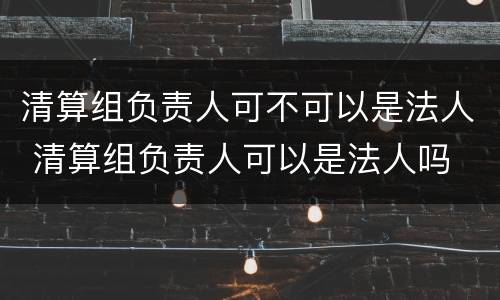 清算组负责人可不可以是法人 清算组负责人可以是法人吗