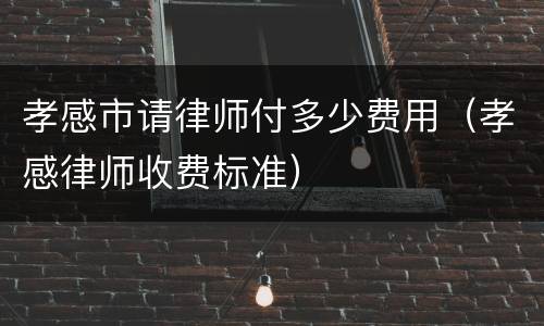 孝感市请律师付多少费用（孝感律师收费标准）