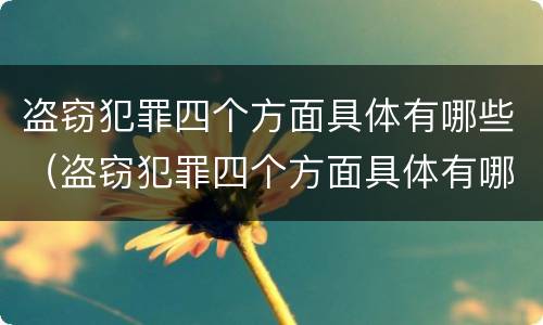 盗窃犯罪四个方面具体有哪些（盗窃犯罪四个方面具体有哪些内容）