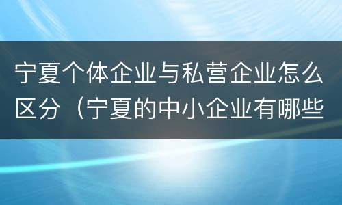 宁夏个体企业与私营企业怎么区分（宁夏的中小企业有哪些）