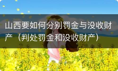 山西要如何分别罚金与没收财产（判处罚金和没收财产）